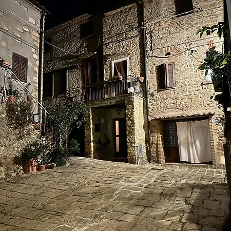 81passi *